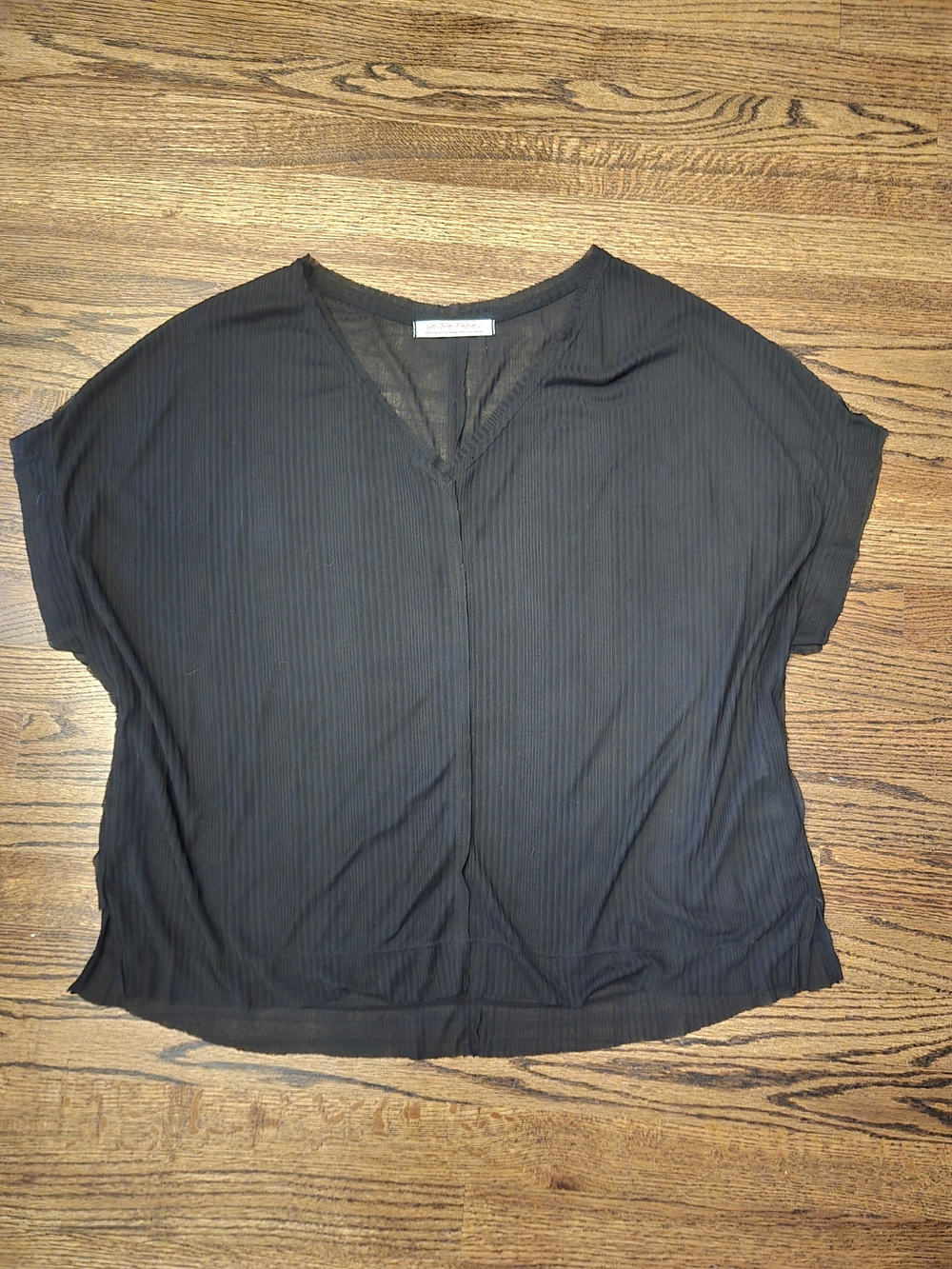 Free People Sheer V Neck Top